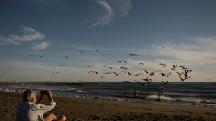 Nuevo r&eacute;cord de calor con 29,9 &ordm;C para un mes de diciembre en Espa&ntilde;a