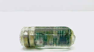 Des robots miniatures &agrave; avaler pour mieux soigner les probl&egrave;mes intestinaux