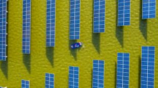 Energie solaire: les sciences photovolta&iuml;ques vers leur z&eacute;nith