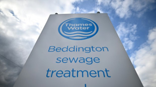 Multa r&eacute;cord para el distribuidor de agua brit&aacute;nico Thames Water por poluci&oacute;n