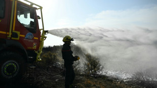 Vent, canicule, une journ&eacute;e "compliqu&eacute;e" face au feu dans l'Aude