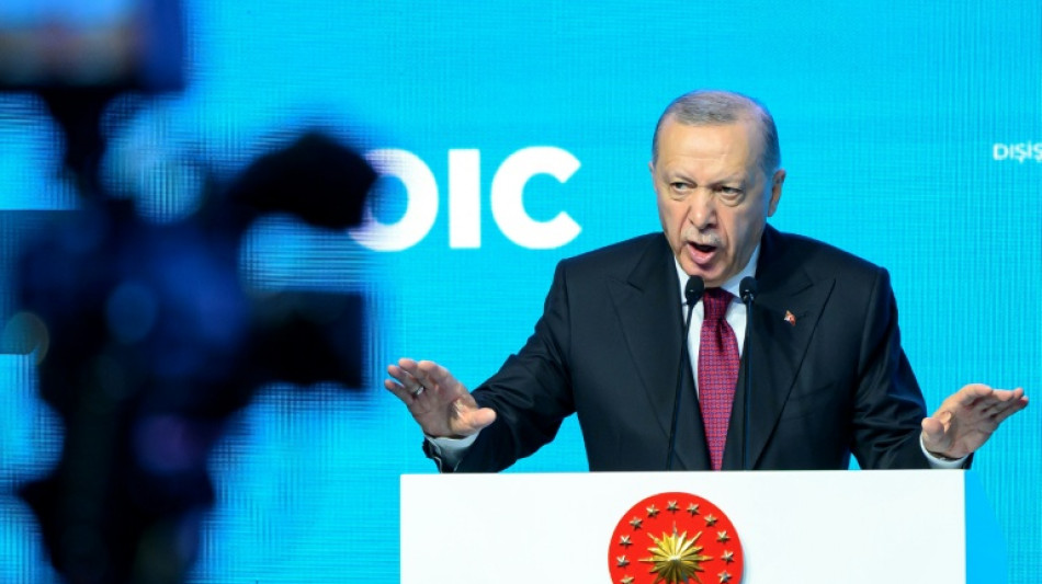 Diez organizaciones piden la "liberación inmediata" de un periodista turco