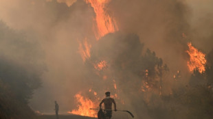 Incendies: plus d'un million d'hectares br&ucirc;l&eacute;s dans l'UE depuis d&eacute;but 2025, un record