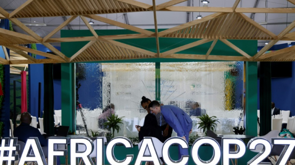 La exploraci&oacute;n de hidrocarburos en &Aacute;frica genera cr&iacute;ticas de los ecologistas en la COP27