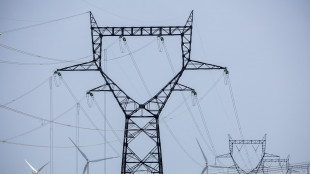 Francia pensa a maxi-esercitazione per testare capacit&agrave; in caso di blackout nazionale