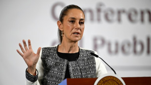 Gobierno mexicano pide retirar de TV anuncio antimigraci&oacute;n pagado por EEUU