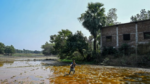 El auge de las bater&iacute;as provoca una epidemia de intoxicaci&oacute;n por plomo en Banglad&eacute;s