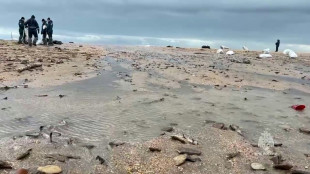 Un derrame ruso de petr&oacute;leo en el Mar Negro contamina 50 km de playas