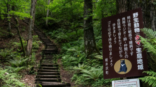 Un gobernador japon&eacute;s pide ayuda militar ante los ataques de osos