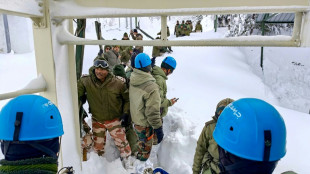 Avalanche dans le nord de l'Inde: 7 morts, les secours encore &agrave; la recherche d'un disparu