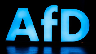 Neuer fraktionsübergreifender Anlauf für AfD-Verbotsverfahren im Bundestag