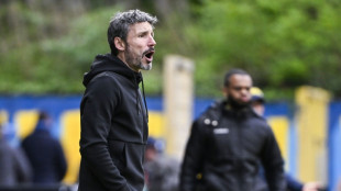 Van Bommel estaria perto de substituir Rudi Garcia como t&eacute;cnico da B&eacute;lgica