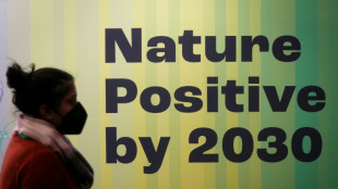 Les entreprises, maillon essentiel de la lutte &agrave; venir pour pr&eacute;server la biodiversit&eacute;