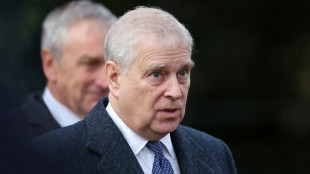 UK's Prince Andrew under pressure over royal home, titles