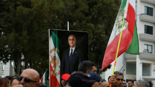 Schah-Sohn Pahlavi ruft die USA zu Milit&auml;rschlag gegen den Iran auf