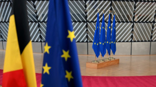 La UE logra un acuerdo sobre su objetivo clim&aacute;tico para 2040 antes de la COP30