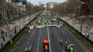 Nuevas manifestaciones de agricultores espa&ntilde;oles en el centro de Madrid