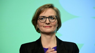 Brantner fordert von Bundesregierung Stopp von Waffenexporten f&uuml;r Einsatz in Gaza
