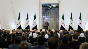 Le pr&eacute;sident syrien promet que l'Etat aura le "monopole" des armes 