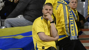 Nach Toten in Br&uuml;ssel: Spiel Belgien - Schweden abgebrochen