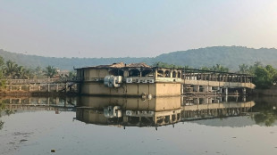 Cuatro nepalíes entre los 25 muertos en el incendio en el sur de India
