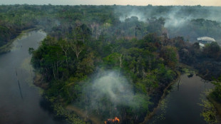 La deforestaci&oacute;n en la Amazonia brasile&ntilde;a marca un m&iacute;nimo en el primer bimestre desde 2018