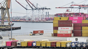 Trump says deal with Xi 'extremely hard' as steel tariffs double