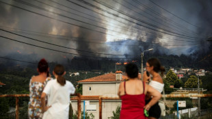 Le Portugal lutte contre plusieurs feux de for&ecirc;t