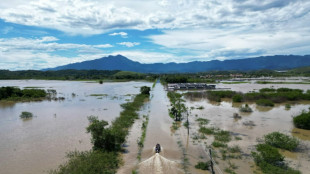 Inondations &agrave; Rio: le bilan monte &agrave; 12 morts