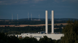Sachsens Wirtschaftsminister f&uuml;r chinesische VW-Produktion in Zwickau