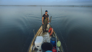 Les lagunes, "sentinelles" du r&eacute;chauffement climatique en M&eacute;diterran&eacute;e