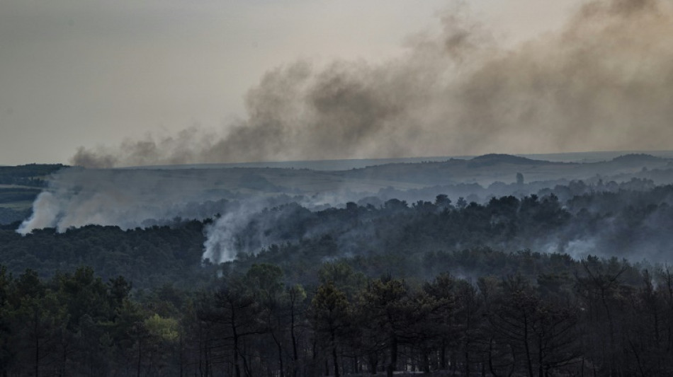 El incendio en un parque nacional griego revel&oacute; el "fracaso cr&oacute;nico" en la protecci&oacute;n de la naturaleza