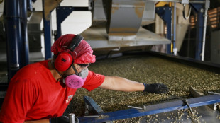 Desemprego no Brasil cai para 6,9% no 2&ordm; trimestre de 2024, menor n&uacute;mero em 10 anos