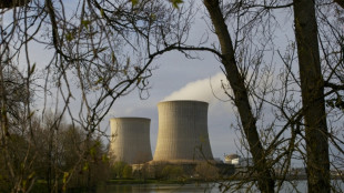 S&ucirc;ret&eacute; nucl&eacute;aire: l'Elys&eacute;e relance la fusion contest&eacute;e de deux institutions