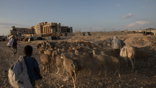 Mosca propone una bozza all'Onu su Gaza, sfida agli Usa