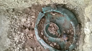 Dix ans apr&egrave;s sa d&eacute;couverte, le "Prince de Lavau" continue de livrer ses secrets