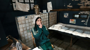 Pussy-Riot-Gr&uuml;nderin Tolokonnikowa kehrt in US-Museum in Gef&auml;ngniszelle zur&uuml;ck