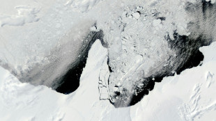 Un iceberg gigante de 39 a&ntilde;os se derrite frente a la Ant&aacute;rtida