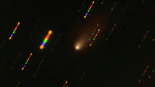 Un possible objet interstellaire traverse le Syst&egrave;me solaire