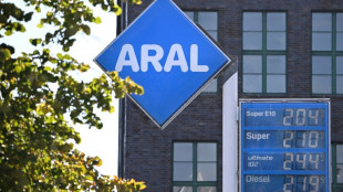 Allemagne : les automobilistes profitent d&egrave;s le premier jour du rabais fiscal sur les carburants