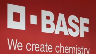 Verbotenes Insektizid laut Beh&ouml;rden auf BASF-Gel&auml;nde bei Lyon entdeckt