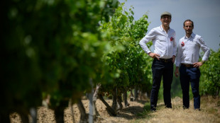 Un laboratorio en Francia desalcoholiza el vino para adaptarse al mercado
