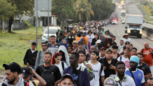 Seres humanos se deslocam mais caminhando que todos os animais selvagens terrestres