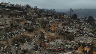 Chile police arrest suspect over deadly wildfires