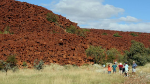 Art rupestre: des Aborig&egrave;nes &agrave; l'Unesco pour d&eacute;fendre un site majeur