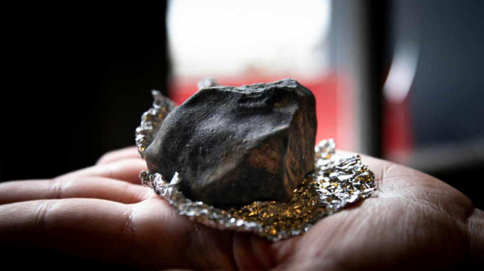 Gr&acirc;ce &agrave; la science participative, un ast&eacute;ro&iuml;de suivi &agrave; la trace jusqu'&agrave; son impact