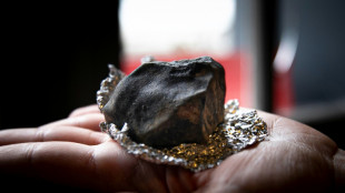 Gr&acirc;ce &agrave; la science participative, un ast&eacute;ro&iuml;de suivi &agrave; la trace jusqu'&agrave; son impact