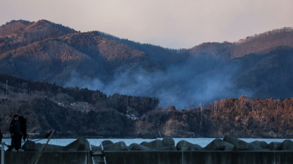 Un muerto y cientos de evacuados por un incendio en el norte de Jap&oacute;n