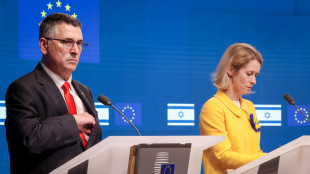 Ue, 'da Israele accuse false e offensive, noi non rovesciamo governi'