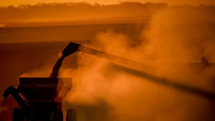 La justicia de Brasil restituye el pacto de no comerciar soja de áreas deforestadas de la Amazonía